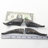 4 Small Polished Goat Horns #5937 Natural colored