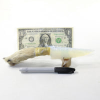 Coyote Foot Handle Opalite Blade Ornamental Knife #1042 Mountain Man Knife