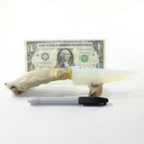 Coyote Foot Handle Opalite Blade Ornamental Knife #1042 Mountain Man Knife