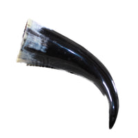 1 Polished Cow Horn #4345 Natural Colored