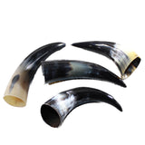 4 Small Polished Cow Horns #2446 Natural colored