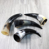 4 Small Polished Cow Horns #2446 Natural colored