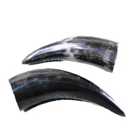 2 Polished Cow Horns #0946 Natural colored