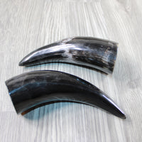 2 Polished Cow Horns #0946 Natural colored