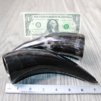 2 Polished Cow Horns #0946 Natural colored