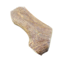 Moose Antler Dog Chew #6347