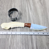 Deer Jaw Handle Opalite Blade Ornamental Knife #1547 Mountain Man Knife