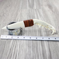 Coyote Jaw Handle Bone Blade Ornamental Knife #1547 Mountain Man Knife