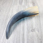 1 Raw Unfinished Cow Horn #3547 Natural Colored