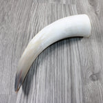 1 Raw Unfinished Cow Horn #5647 Natural Colored