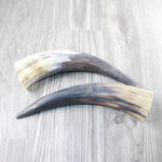 2 Raw Unfinished Cow Horns #7249 Natural Colored