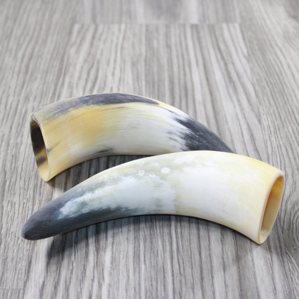 2 Small Raw Unfinished Cow Horns #3249 Natural Colored