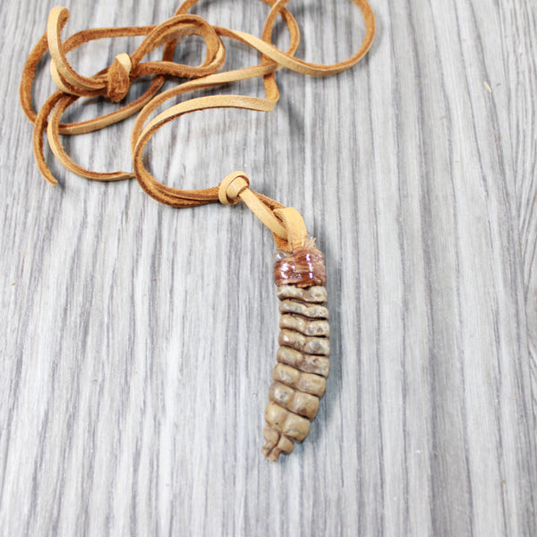 Very Large Rattlesnake Rattle Necklace  #4449 Mountain Man Necklace