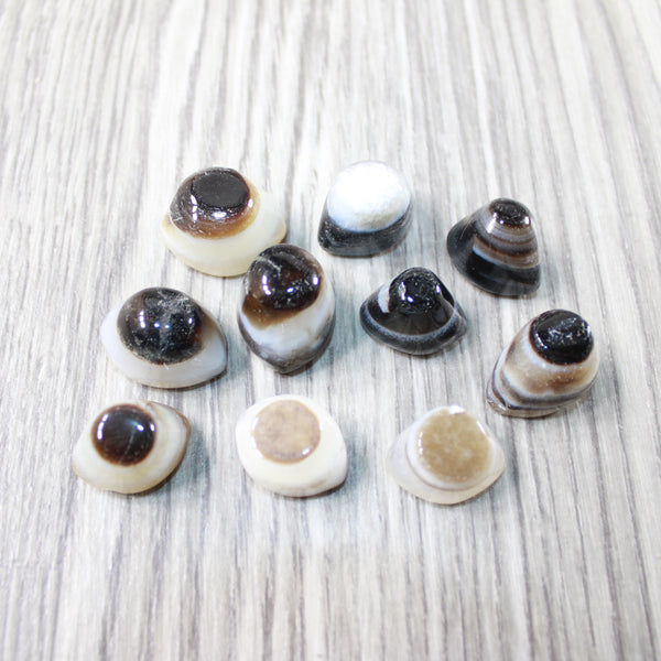 10 Agate Eyes   #0049 Naturally Formed