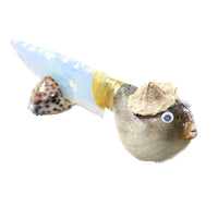 Puffer Fish Handle Opalite Blade Ornamental Knife #33940 Mountain Man Knife