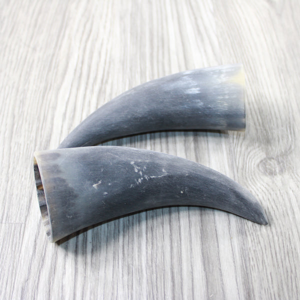 2 Small Raw Unfinished Cow Horns #5940 Natural Colored