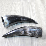 2 Small Polished Cow Horns #2940 Natural colored