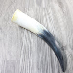 1 Raw Unfinished Cow Horn #2140 Natural Colored