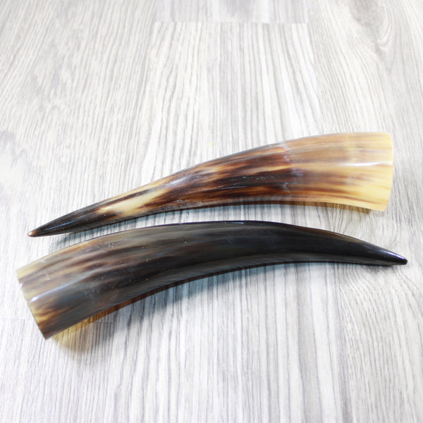 2 Polished Cow Horns #3440 Natural colored