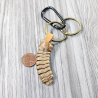 Very Large Rattlesnake Rattle Key Chain  #4640 Mountain Man Keychain