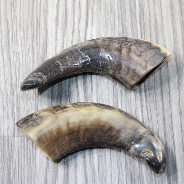 2 Small Polished Goat Horns #7740 Natural Colored