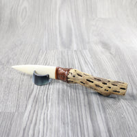 Cholla Cactus Wood Handle Bone Blade Ornamental Knife #34240 Mountain Man Knife