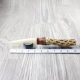 Cholla Cactus Wood Handle Bone Blade Ornamental Knife #34240 Mountain Man Knife