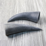 2 Small Raw Unfinished Cow Horns #0140 Natural Colored