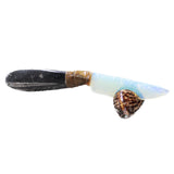 Orthoceras Fossil Handle Opalite Blade Ornamental Knife #8840 Mountain Man Knife