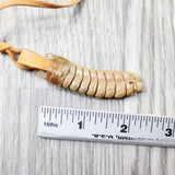 Very Large Rattlesnake Rattle Necklace  #6140 Mountain Man Necklace