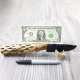 Cholla Cactus Wood Handle Obsidian Blade Ornamental Knife #864-1 Mountain Man Knife