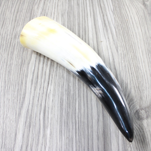 1 Polished Cow Horn #524-1 Natural Colored