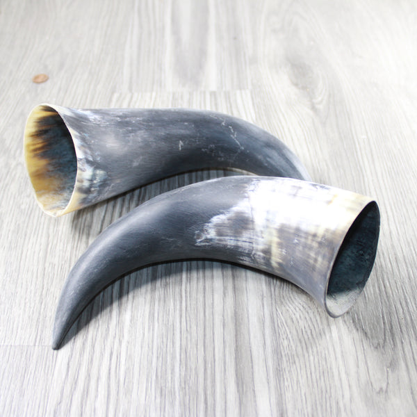 2 Raw Unfinished Cow Horns #054-1 Natural Colored