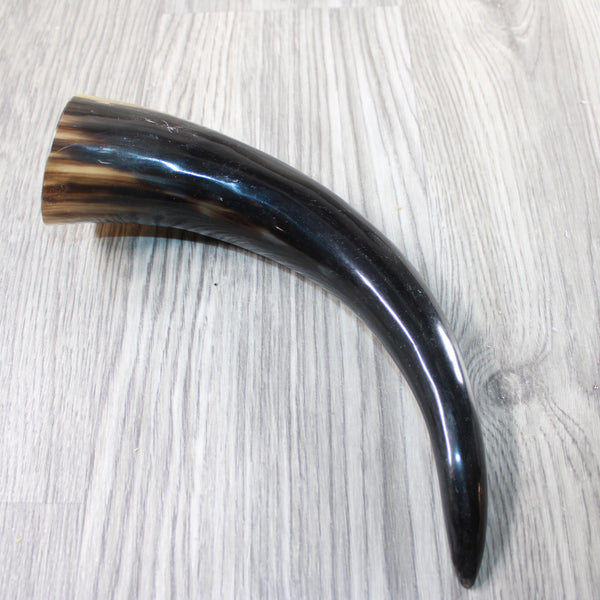 1 Polished Cow Horn #264-1 Natural Colored