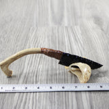 Reindeer Antler Handle Obsidian Blade Ornamental Knife #174-2 Mountain Man Knife