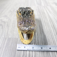 1 Alligator 6.5 Inch Head  #014-2    taxidermy gator reptile crocodile