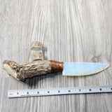 Elk Antler Crown Handle Opalite Blade Ornamental Knife #244-2 Mountain Man Knife