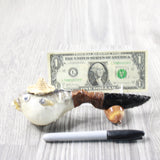 Puffer Fish Handle Obsidian Blade Ornamental Knife #304-2 Mountain Man Knife