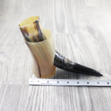 1 Polished Cow Horn Plus Stand #234-2 Medieval Tankard