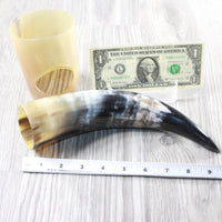 1 Polished Cow Horn Plus Stand #234-2 Medieval Tankard