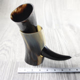 1 Polished Cow Horn Plus Stand #344-2 Medieval Tankard