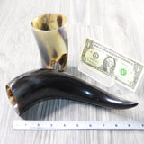 1 Polished Cow Horn Plus Stand #344-2 Medieval Tankard