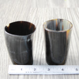 2 Small Horn Glasses #444-2 Medieval Tankard Double Shot Glass