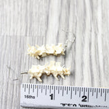 Rattlesnake Vertebrae Earrings  #474-2  Mountain Man Earrings