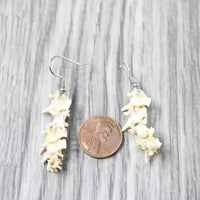 Rattlesnake Vertebrae Earrings  #474-2  Mountain Man Earrings