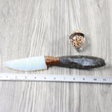 Orthoceras Fossil Handle Opalite Blade Ornamental Knife #294-2 Mountain Man Knife