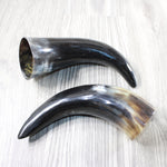 2 Polished Cow Horns #5151 Natural colored