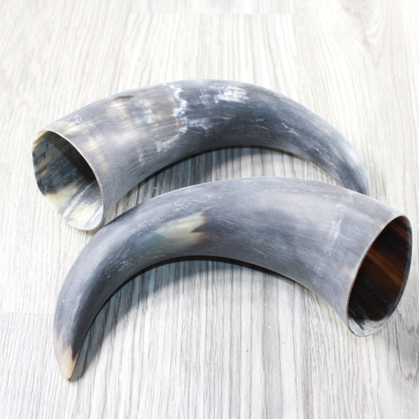 2 Raw Unfinished Cow Horns #3951 Natural Colored