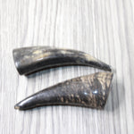 2 Small Polished Goat Horns #0351 Natural Colored