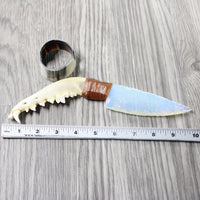 Coyote Jaw Handle Opalite Blade Ornamental Knife #1451 Mountain Man Knife